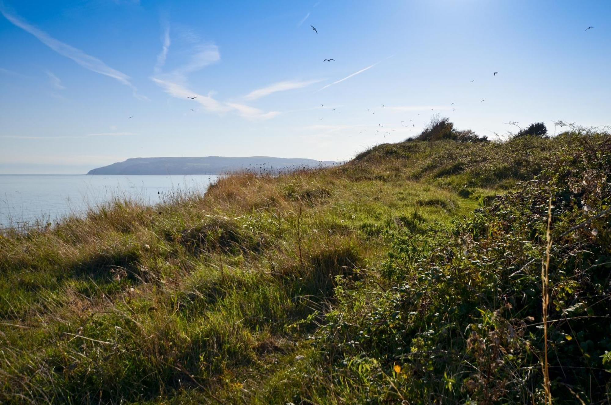 The Haven - Isle Of Wight Villa Sandown Rom bilde